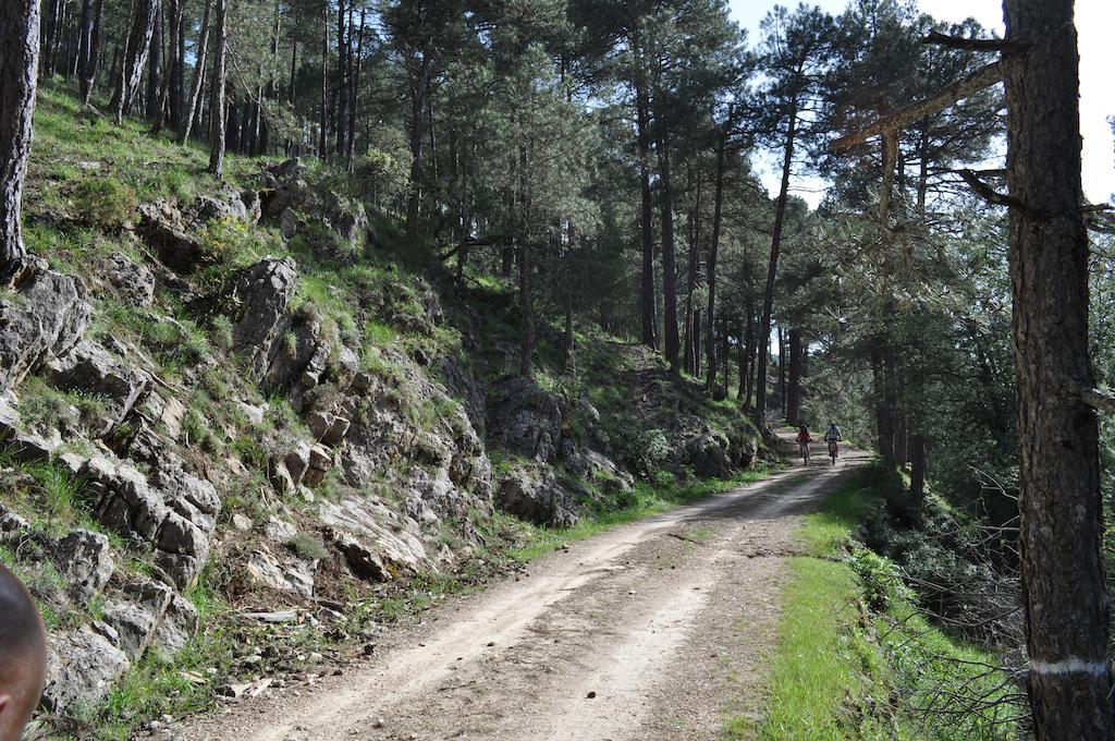 Los Nidos De Santa Maria Arroyo Frio Exterior foto